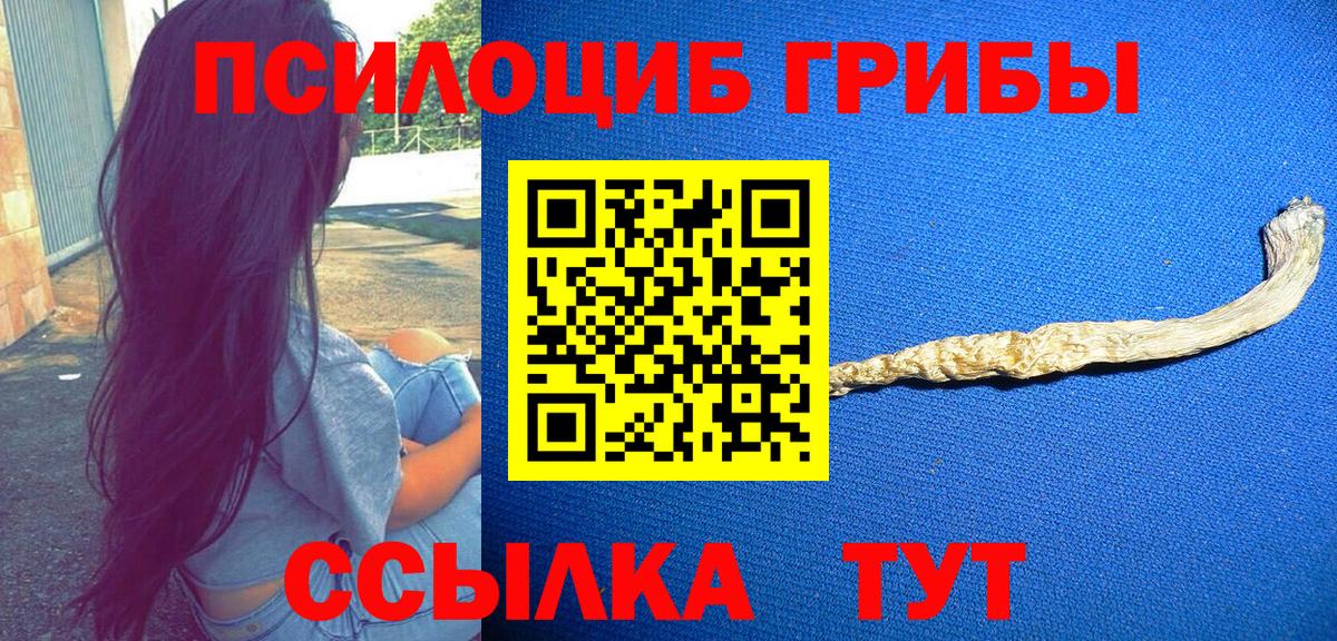 Галлюциногенные грибы GOLDEN TEACHER  Псилоцибиновые грибы мухоморы  Магадан  Вход с VPN 