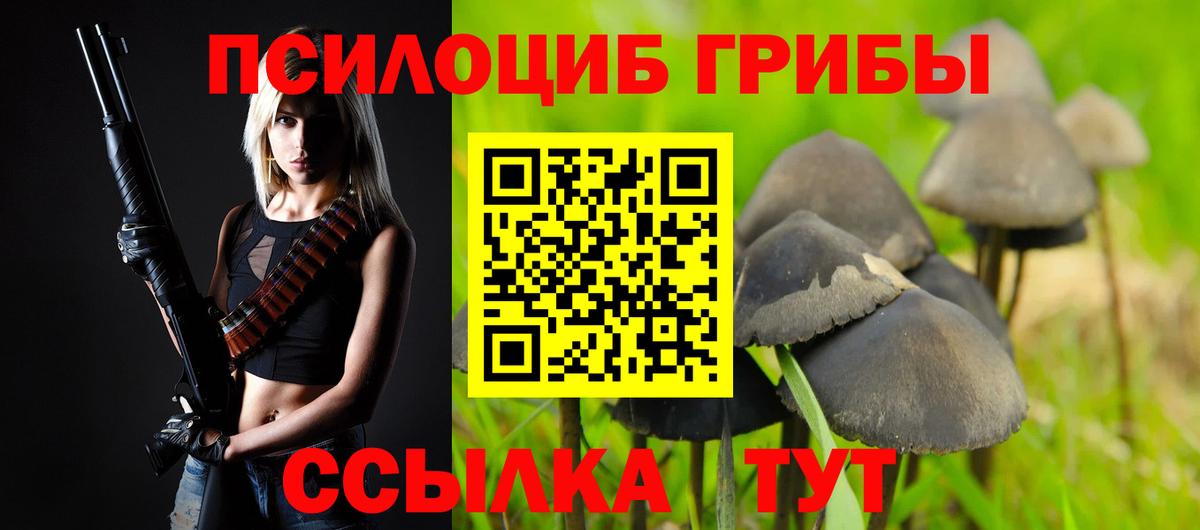 Псилоцибиновые грибы Psilocybe Магадан